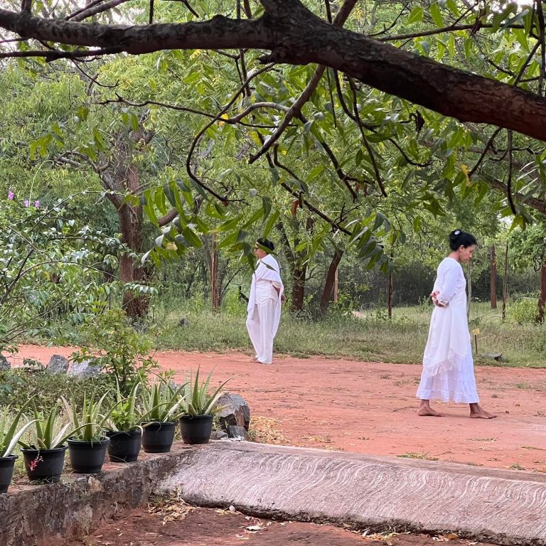 337026748_868796797554844_3259178062069202505_n